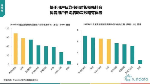 trustdata 2020年中国移动互联网行业发展分析报告