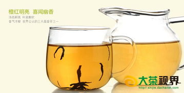 正山小种红茶批发 厂价直供与移动互联网研发维护新视界